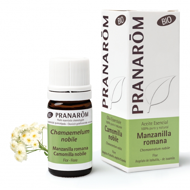 manzanilla-romana