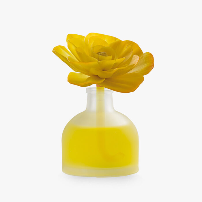 MANGO1-1-700x700